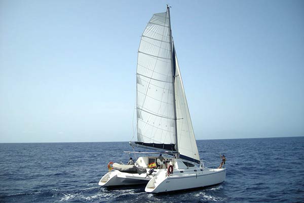 Catamarán 10 para charters privados en Tenerife