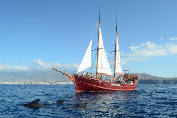 Portuguese schooner in Tenerife